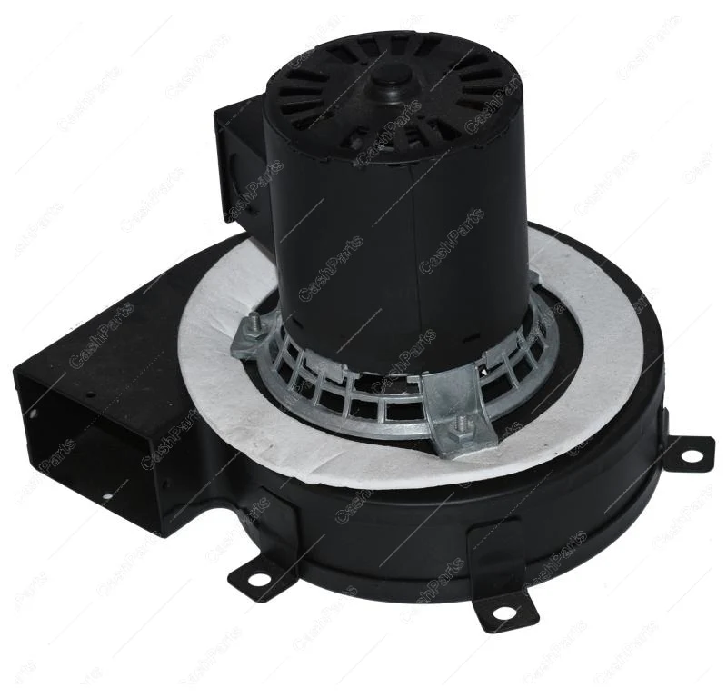 Mtr336 Motor 120V