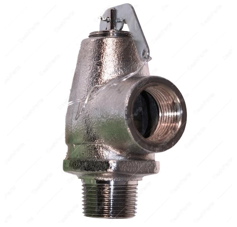 Cbr020 3/4In P/T Relief Valve 550 Lb/Hr