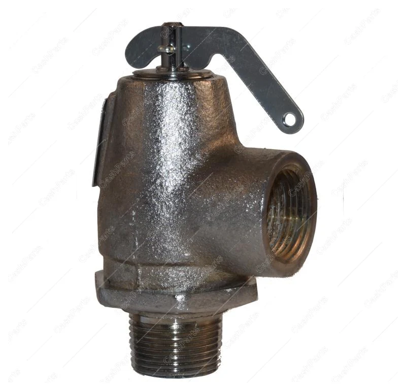Cbr023 3/4In P/T Relief Valve 805 Lb/Hr