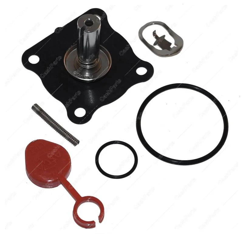 Asc006 3/4In And 1/2In Solenoid Valve Repair Kit For Red Hat I