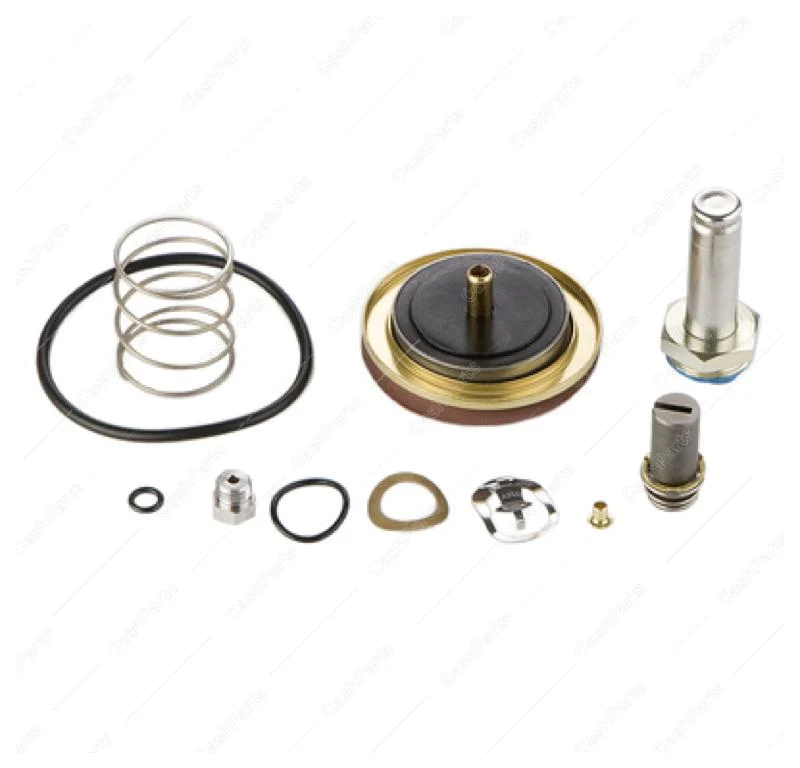 Asc023 Repair Kit
 Red Hat Ii
 1In & 1-1/4In Fpt 4 Bolt Valves
 For Asc026