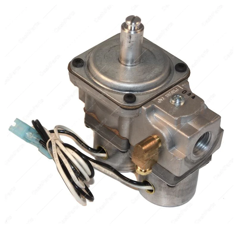 Slnd024 Dual Solenoid Valve