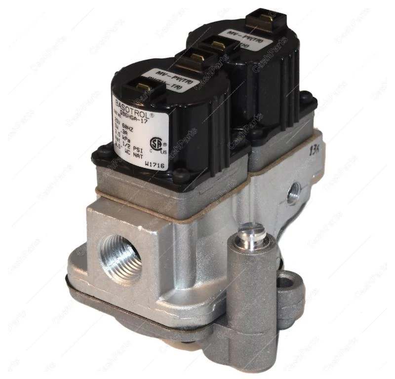 Vlv307 Gas Valve