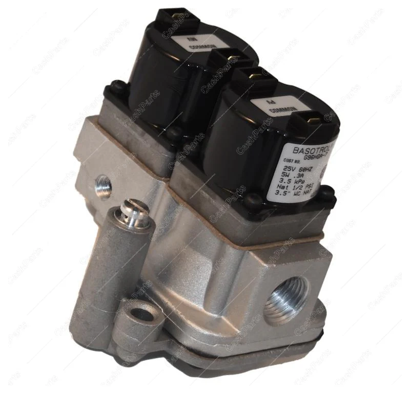 Vlv309 Gas Valve