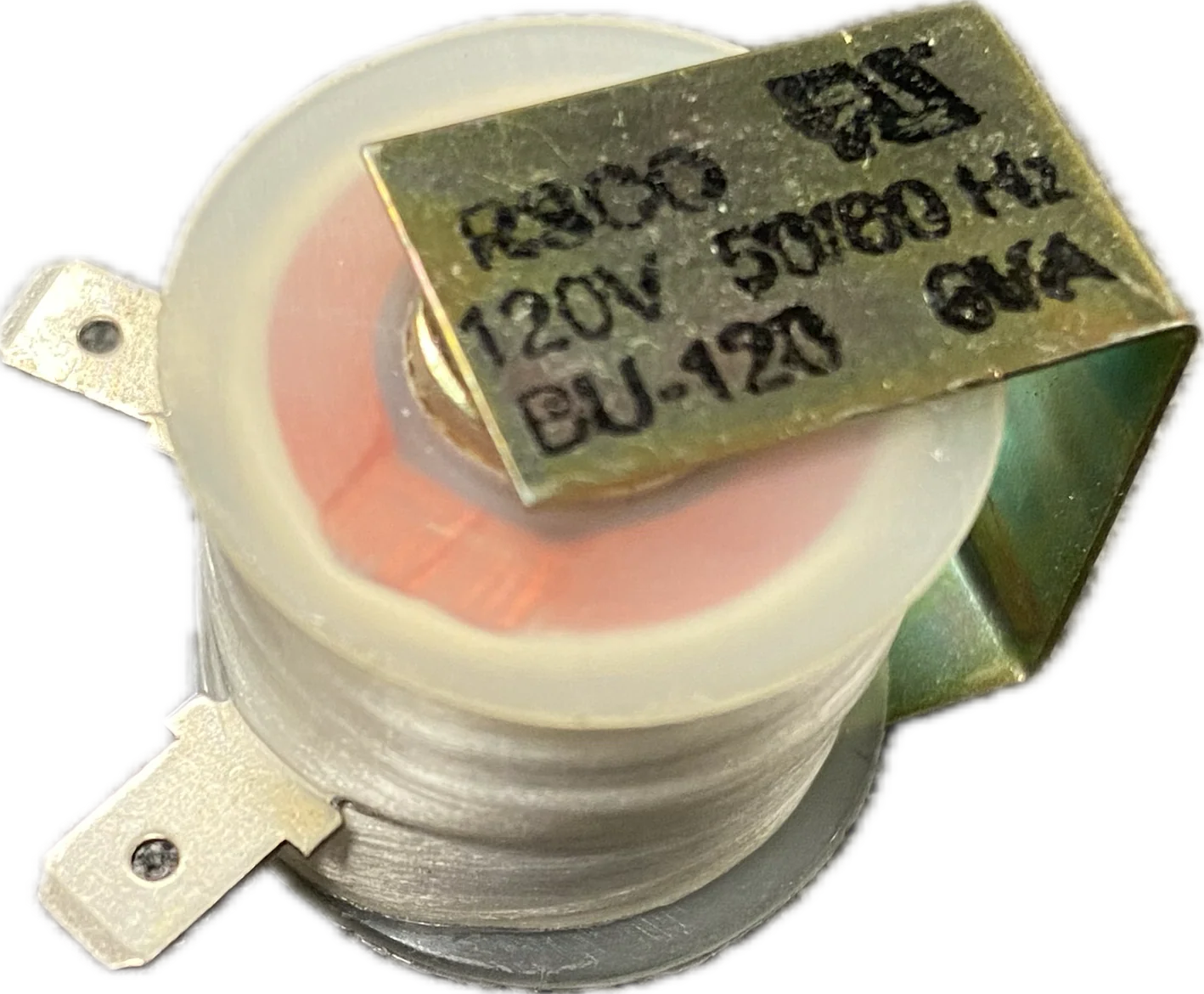 RLY404 Buzzer, 120V